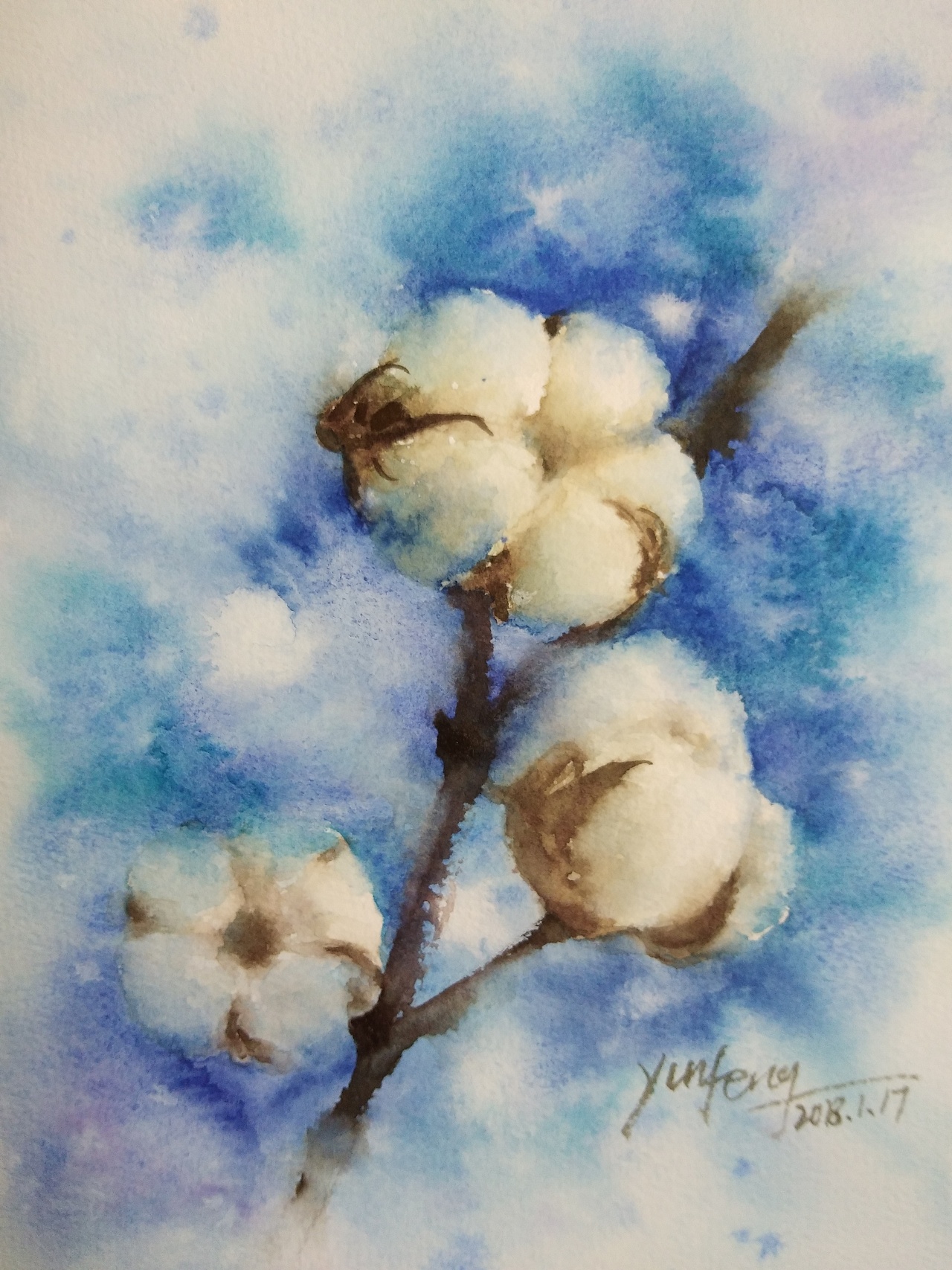 【水彩】一支棉花