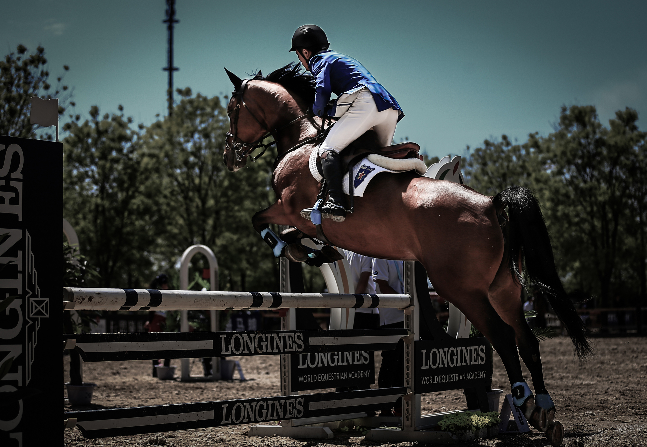 鸟巢之路-冠军杯马术场地赛北京站