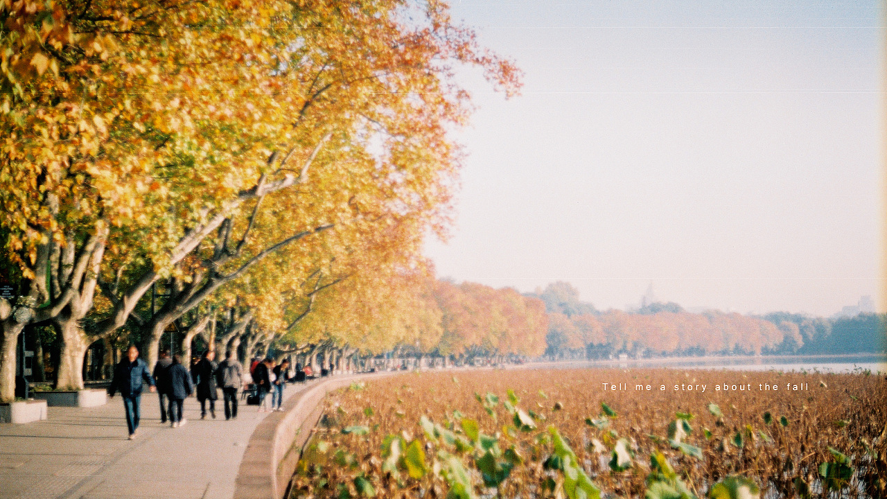 讲一个秋天的故事