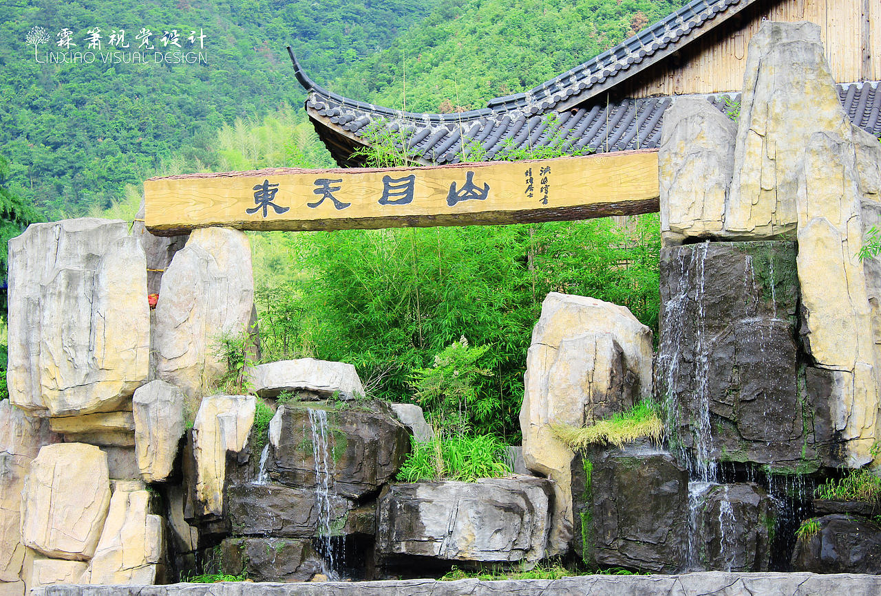 杭州之行的山林景色片子