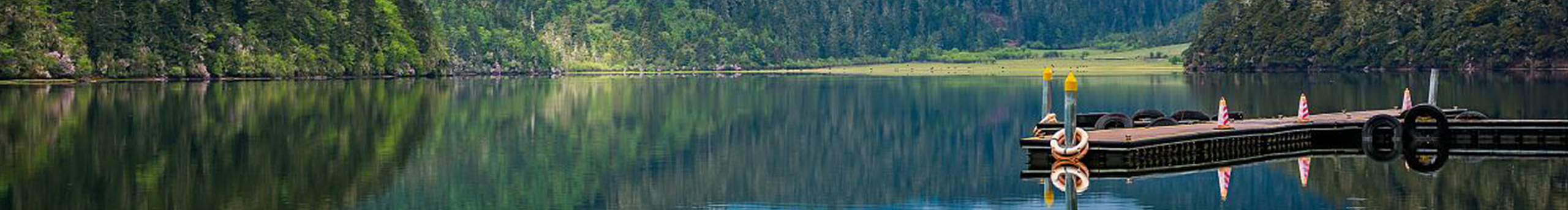 Terry旭的个人主页（封面预览） - 主页封面设置 - 站酷设计师Terry旭原创素材 - 站酷ZCOOL