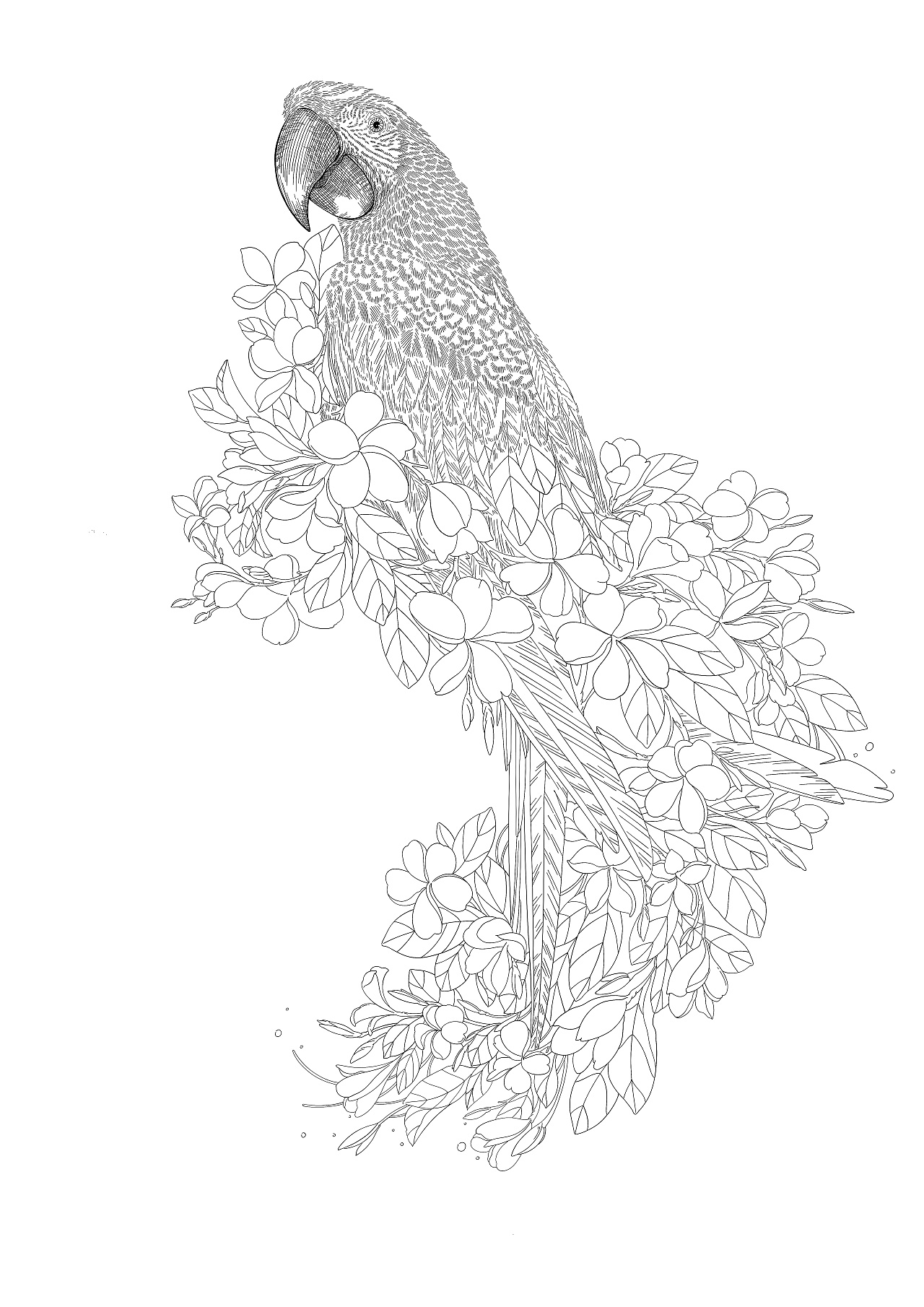 热带的动物和昆虫