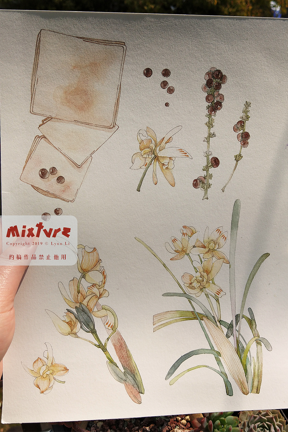 剑三药用花草&中药材炮制工具（图ZMTUyMDkxMzY0） - 商业插画 - 站酷设计师青霄不予原创素材 - 站酷ZCOOL