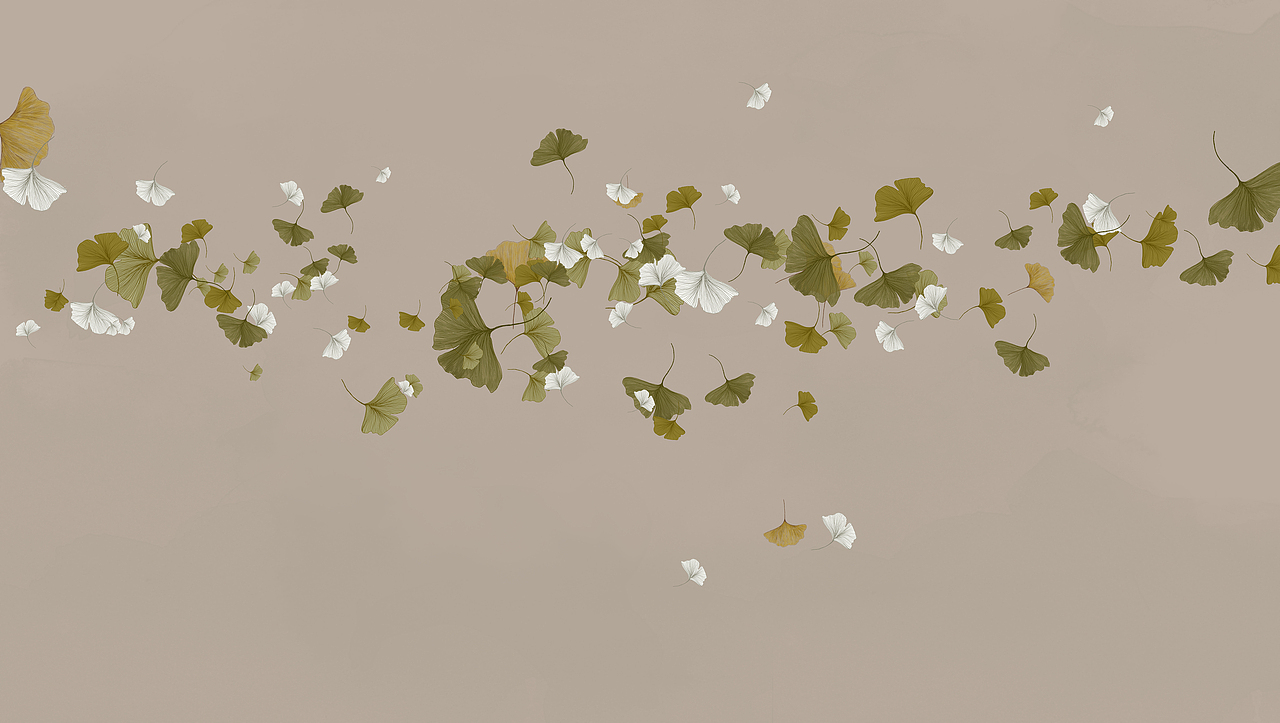 雅致银杏|平面|其他平面|shelly雪_原创作品-站酷zcool