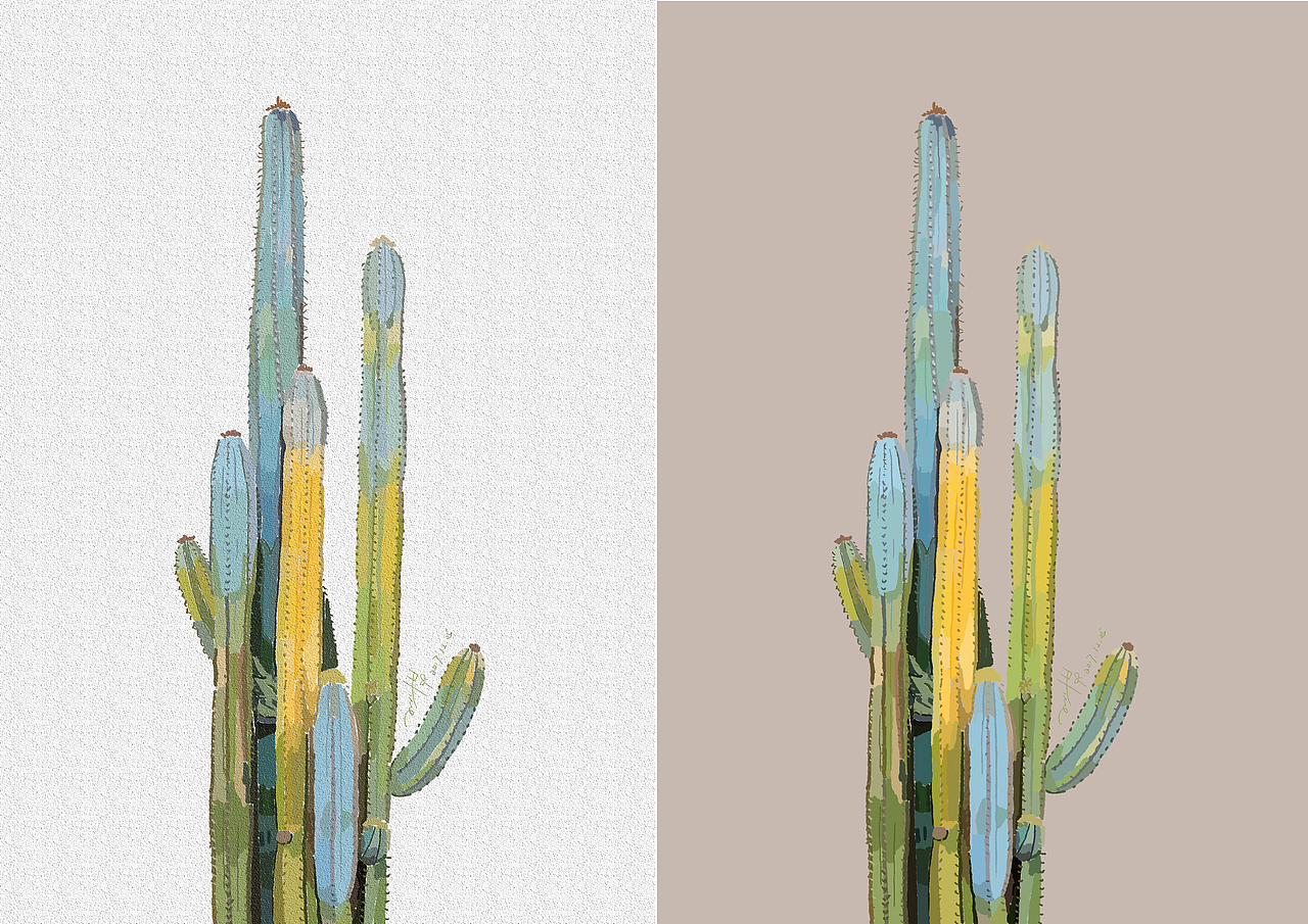 手绘及衍生品设计——仙人掌（图ZOTk1MzYyMTY=） - 生活用品 - 站酷设计师夏天的牧草原创素材 - 站酷ZCOOL