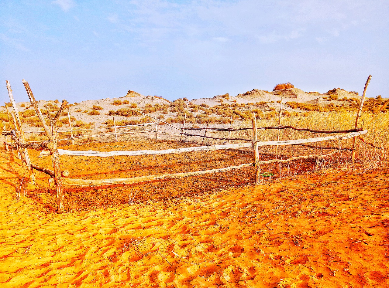 Meizu Note 5 手机拍摄 （深 秋）（图ZMTg0Mjg2MzU2） - 风光摄影 - 站酷设计师智力思维原创素材 - 站酷ZCOOL