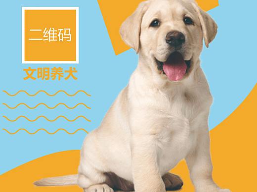 文明养狗宣传海报易拉宝