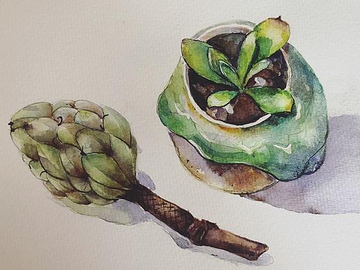 水彩多肉植物练习（个人主页-ZMjkwNTUwNDQ=） - 绘画 - 站酷设计师irismoor原创素材 - 站酷ZCOOL