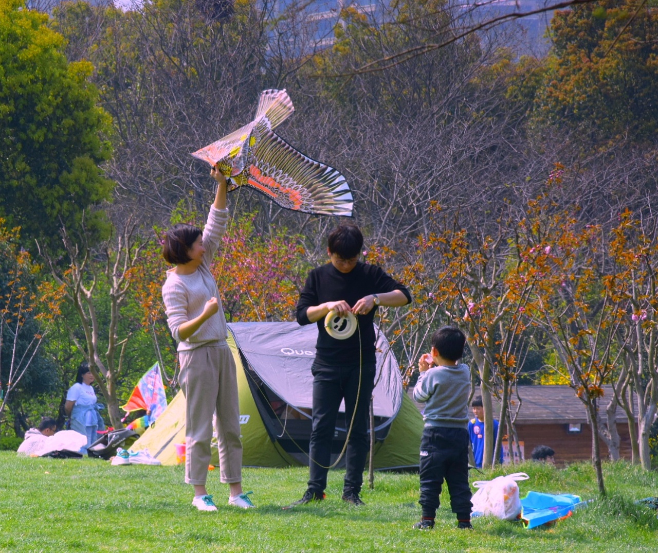 第36届潍坊国际风筝会4月20日开幕-新闻频道-和讯网