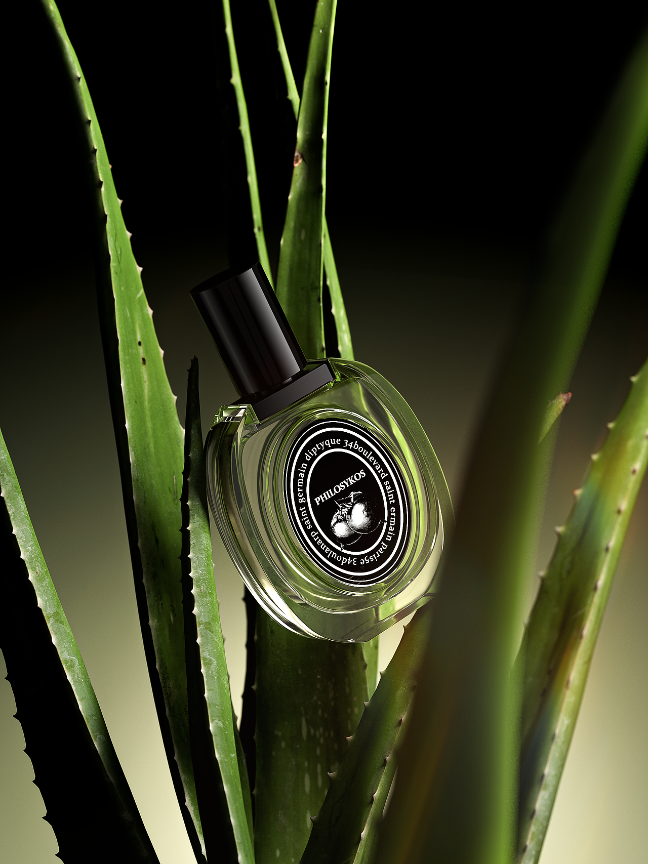 自然植物渲染（图ZMzQzMjM3MjE2） - 其他三维 - 站酷设计师熊老板丶原创素材 - 站酷ZCOOL