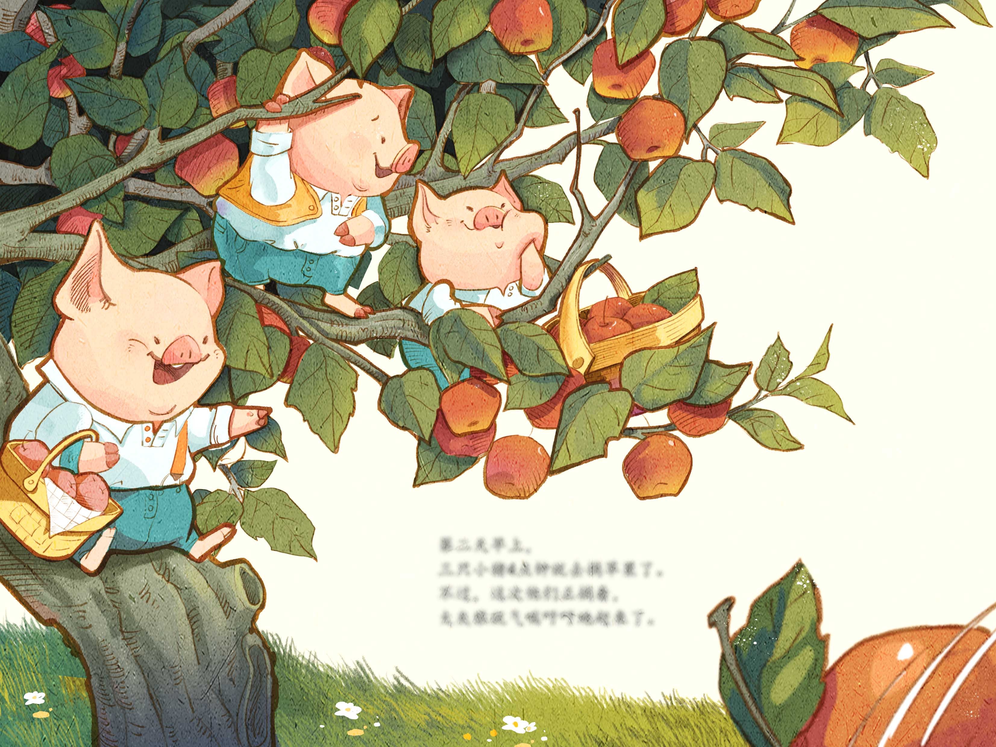 【儿插】三只小猪