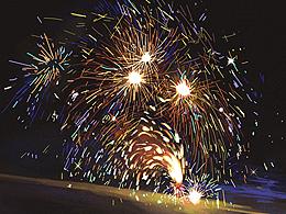 绘画计划 011-020/365