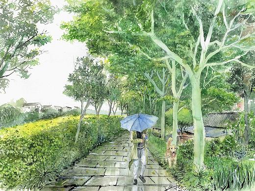 雨后新绿