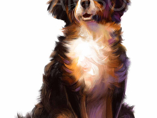 两个组的色彩学习课成果