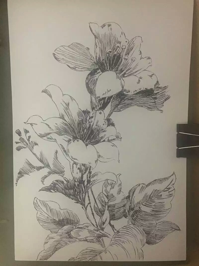 2016.12.01 发布绘画