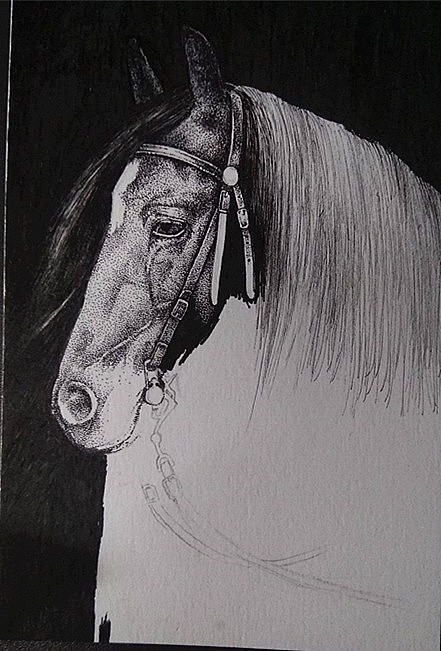 马·生而忧伤（图ZMjMxOTU0NTEy） - 绘画 - 站酷设计师二熊熊原创素材 - 站酷ZCOOL