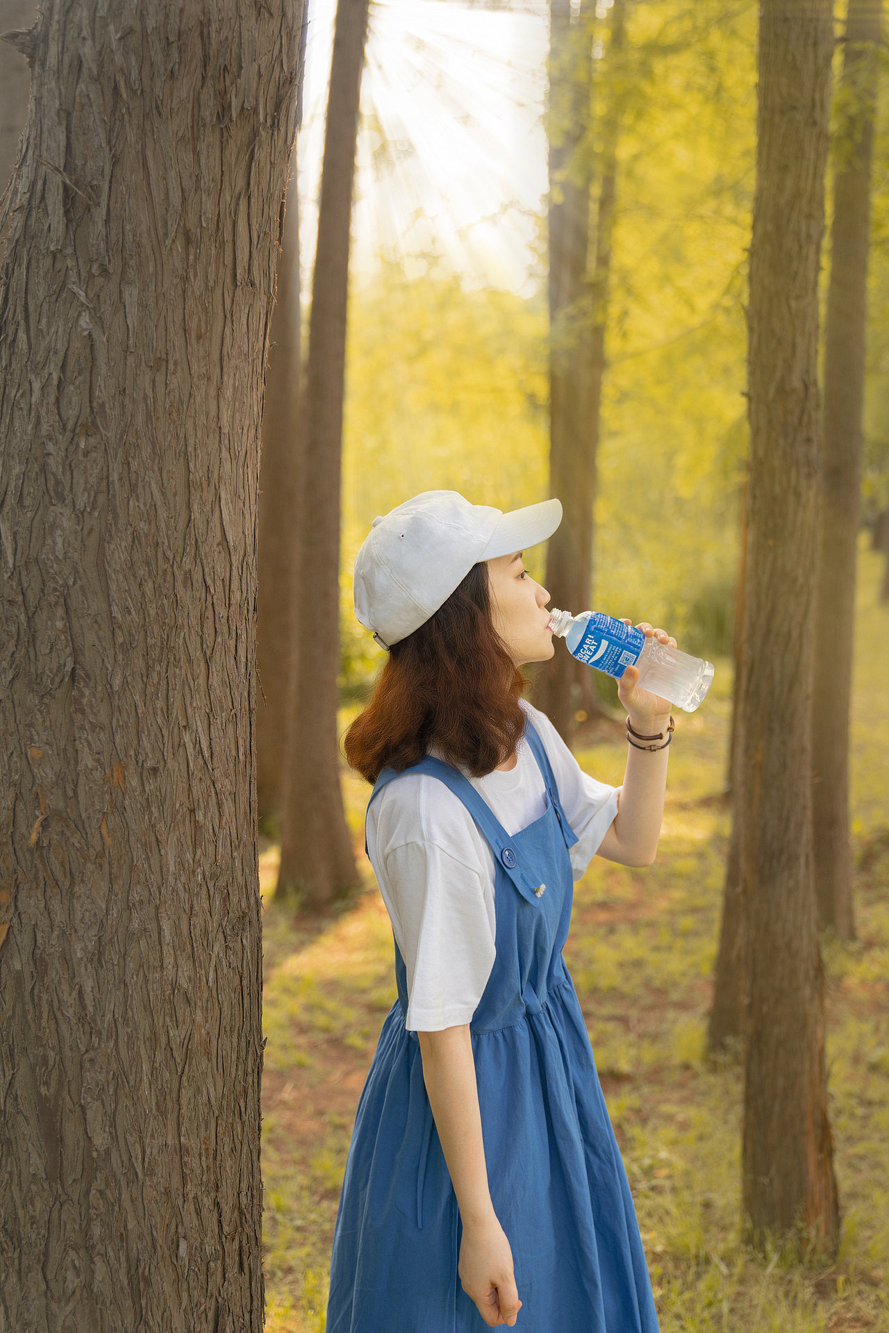 小森林 · 初秋篇