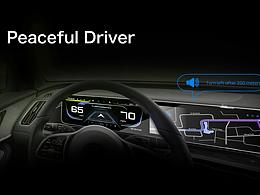 路怒癥平復(fù)者