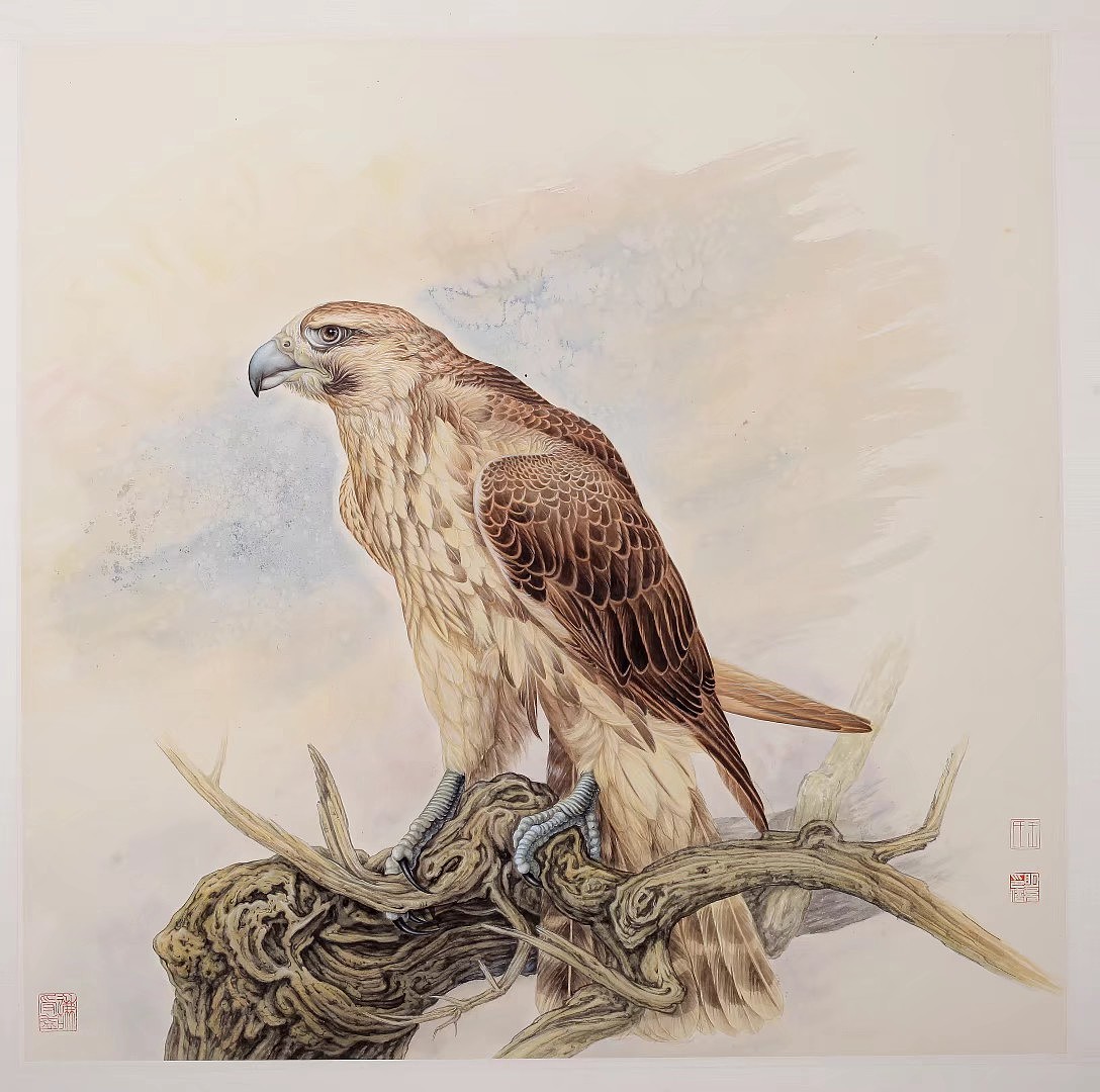 《海东青》（图ZMTA5OTYwNzY0） - 绘画 - 站酷设计师六趣原创素材 - 站酷ZCOOL