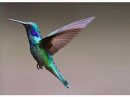 PS制作粒子飛散效果PSD源文件分享 