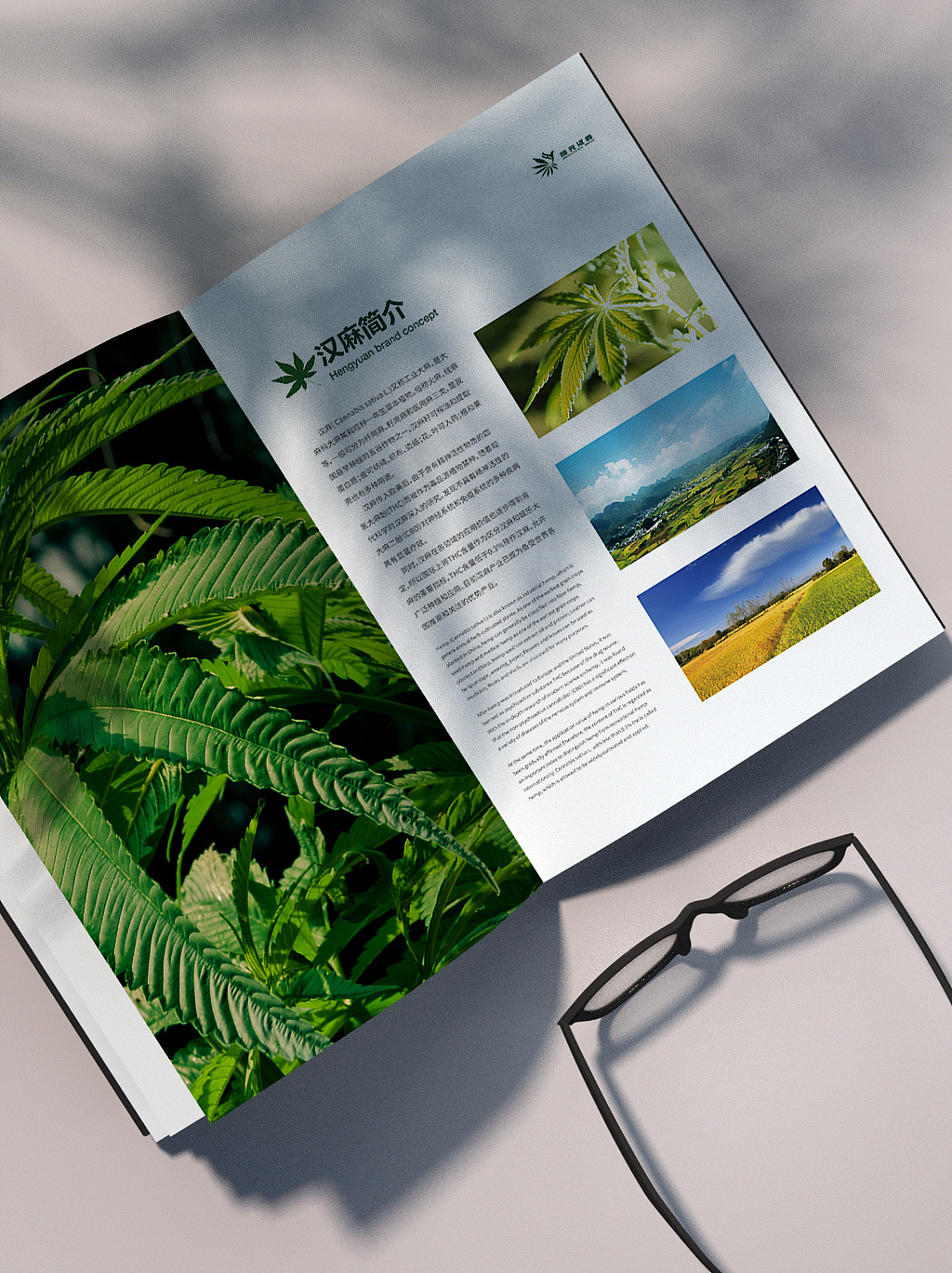 编排设计|汉麻馆画册