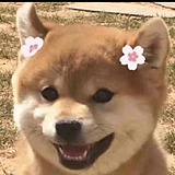 1zxx1的头像