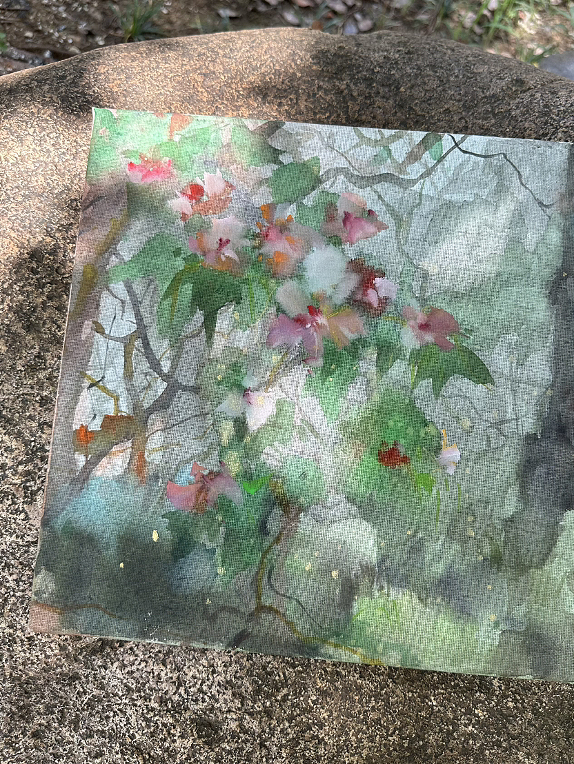 百草丰|树揭 30*30