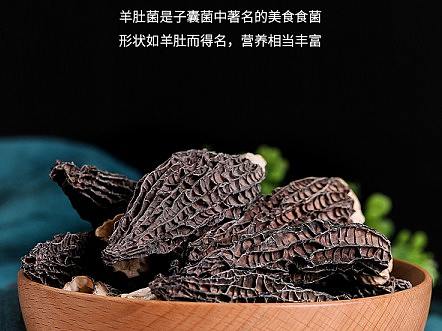 羊肚菌