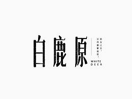 字体