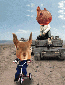 HI~我是爆乳飞（图ZMTc5MzA2MA==） - 宠物摄影 - 站酷设计师pinkmana原创素材 - 站酷ZCOOL