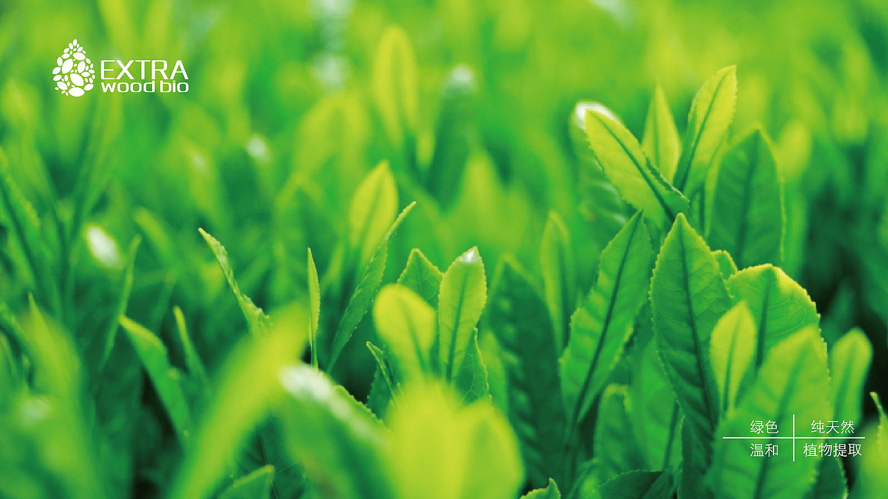 洗手液品牌logo设计（图ZNDU2NzUzMDA=） - Logo - 站酷设计师玖壹NINEONE原创素材 - 站酷ZCOOL