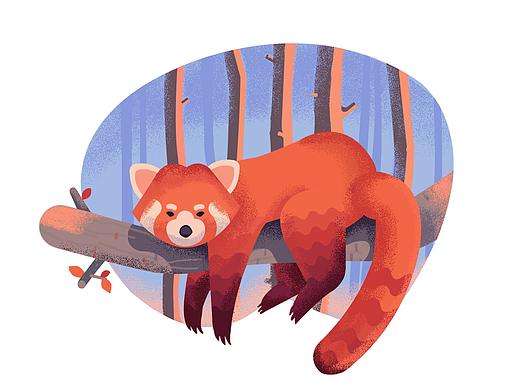 小狐狸插画临摹