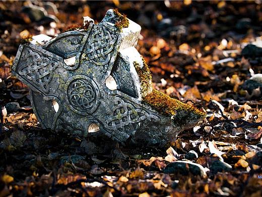 26套200种4k全通道树叶写实扫描纹理套件（免费分享）