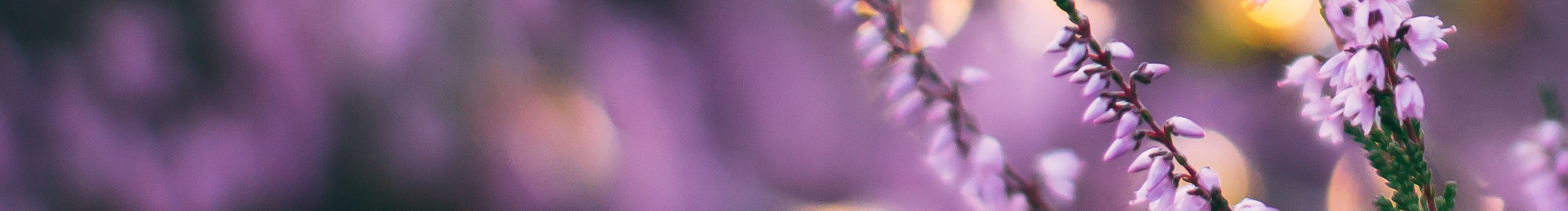 saulin的个人主页（封面预览） - 主页封面设置 - 站酷设计师saulin原创素材 - 站酷ZCOOL