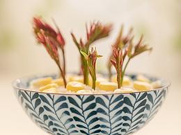 来一口春天的味道