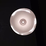 林兜兜的头像