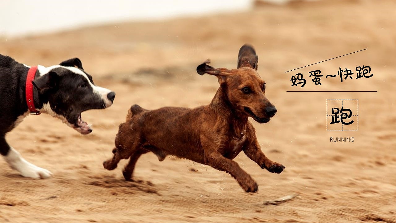 PPT模板全使用指南-下载篇（图ZNDA3OTk1ODg=） - PPT/Keynote - 站酷设计师零一PPT原创素材 - 站酷ZCOOL