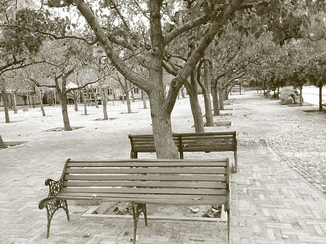 自然的韵律（图ZMzY2ODMxMjg=） - 其他摄影 - 站酷设计师249043487原创素材 - 站酷ZCOOL