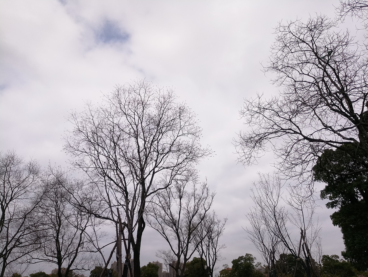 春之密影（图ZMTA4MjU4MzQ4） - 产品摄影 - 站酷设计师珍丫头原创素材 - 站酷ZCOOL