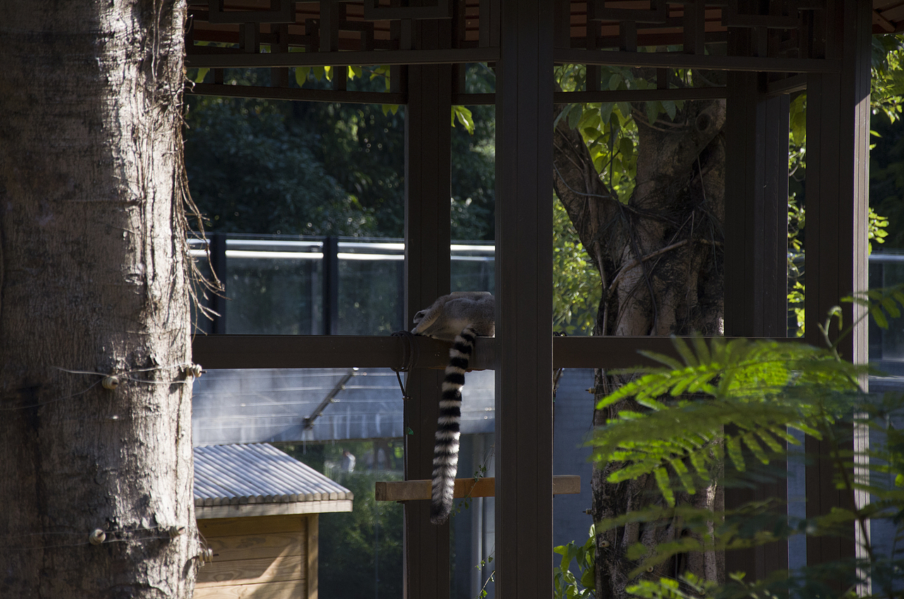 10.16广州行（图ZNjE3Njk2MDg=） - 风光摄影 - 站酷设计师袁勇的作品合集原创素材 - 站酷ZCOOL