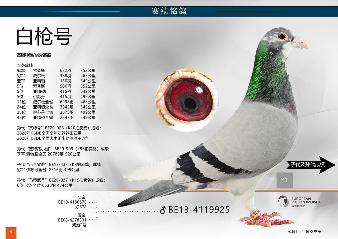 中文畫冊（圖ZMjQ1MDMxNjg0） - 書籍/畫冊 - 站酷設(shè)計師花綴磨墨原創(chuàng)素材 - 站酷ZCOOL