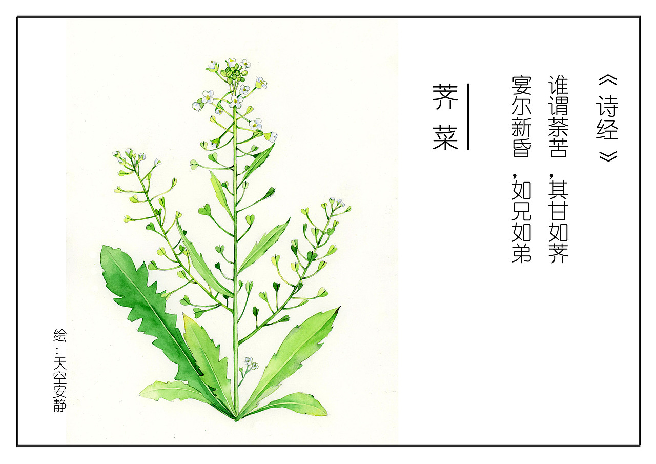 诗经更新（图ZMTUzNDIyMjky） - 创作习作 - 站酷设计师天空安靜原创素材 - 站酷ZCOOL