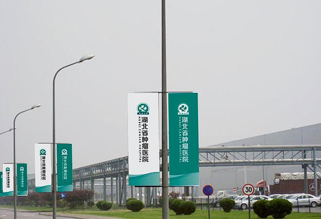 肿瘤医院VIS设计
