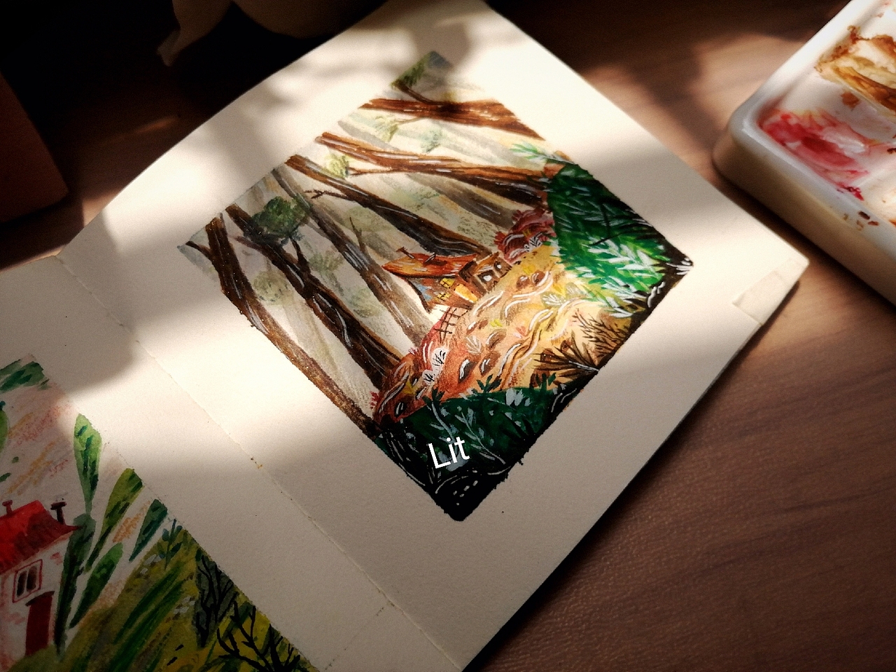 房子|追逐不一样的阳光