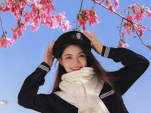 一起去看异木棉！