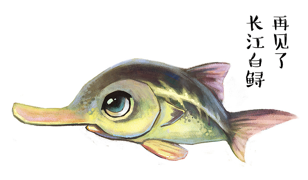 再见白鲟