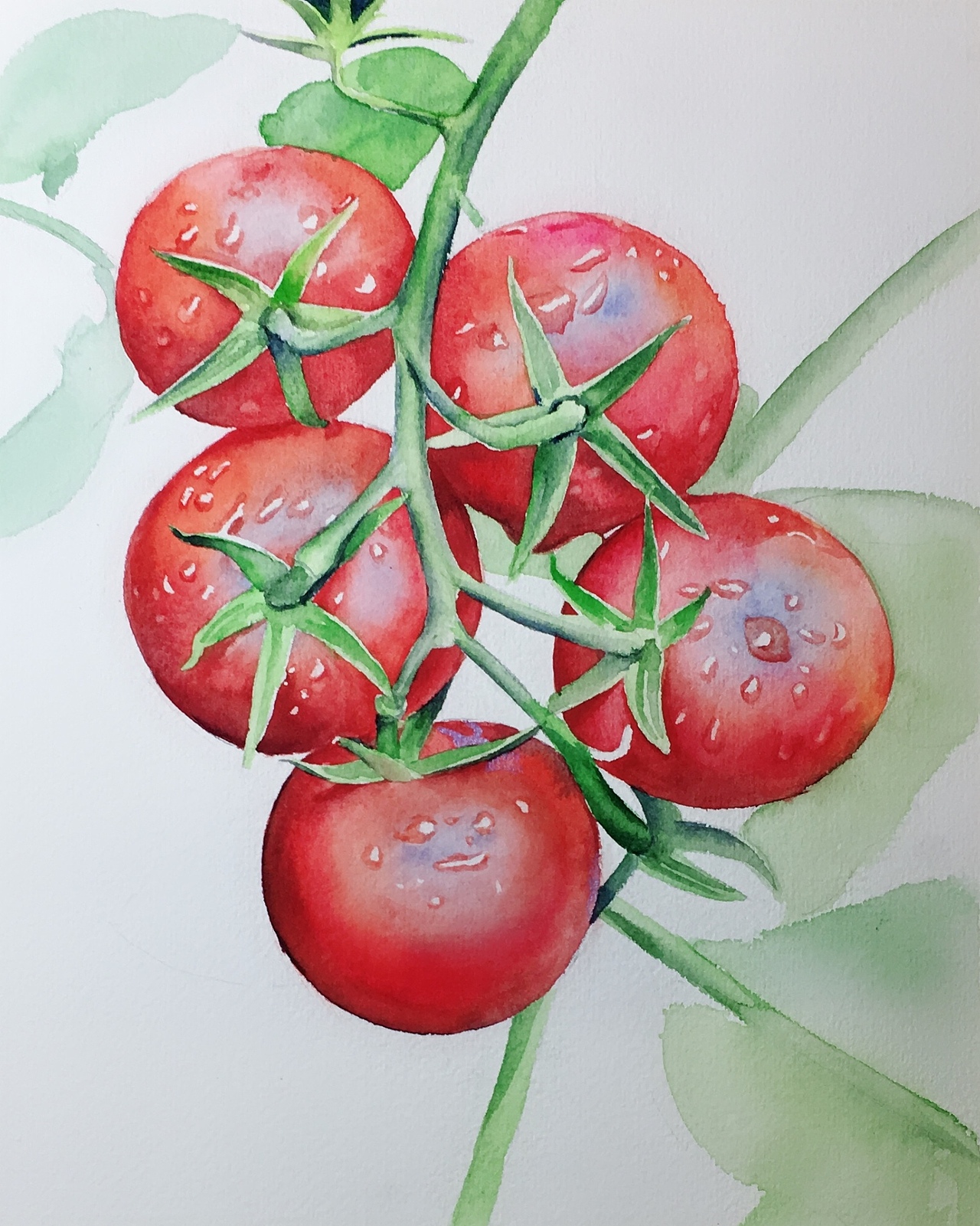 番茄|纯艺术|绘画|路加水彩_原创作品-站酷zcool