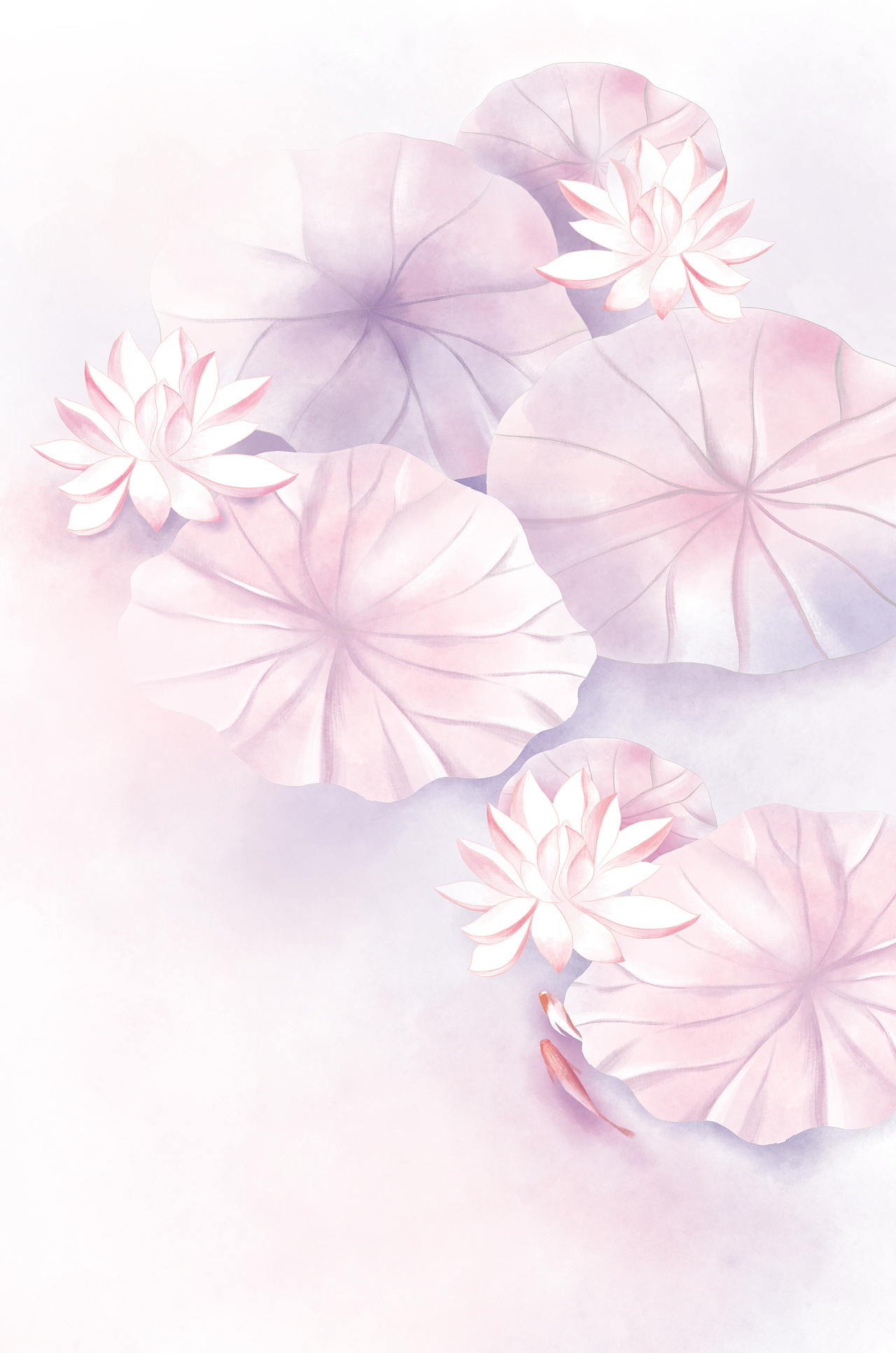 曲池荷系列手账本封面插画