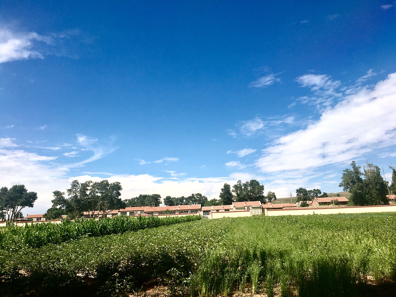 纯属爱好[z石化]（图ZMTEyOTU3NDEy） - 人文/纪实摄影 - 站酷设计师Z20493486原创素材 - 站酷ZCOOL