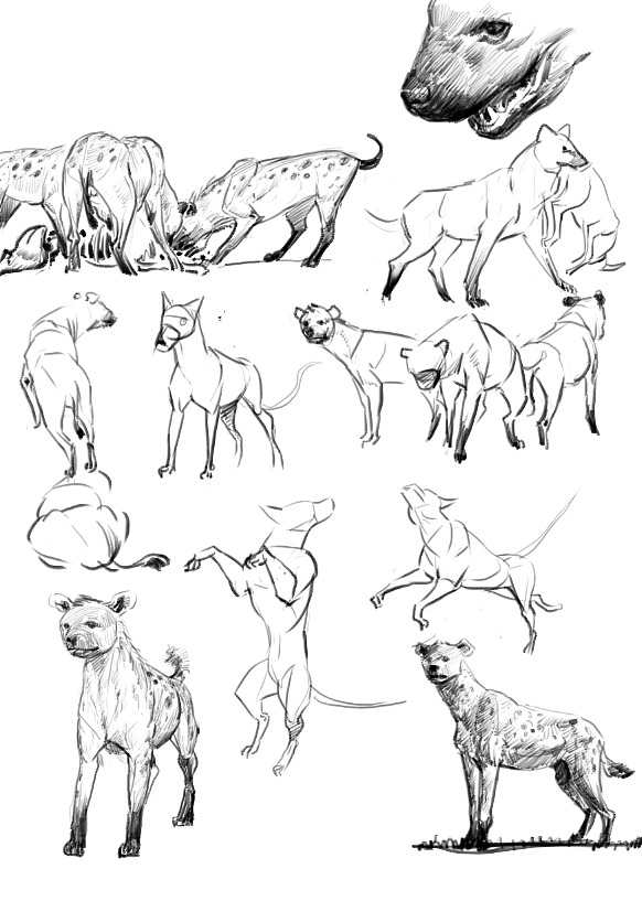 地铁上练习（动物篇）（图ZMTQ4MTk0NzIw） - 创作习作 - 站酷设计师S肚子爱画画D原创素材 - 站酷ZCOOL